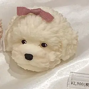 え*ゅ様 ヴァージン・パンク 前売り券 特典 梅津泰臣 複製レイアウト