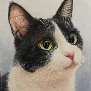 色鉛筆画A4 ノルウェージャンフォレストキャット103 色鉛筆画A4 ノルウェージャンフォレストキャット103 - メルカリ