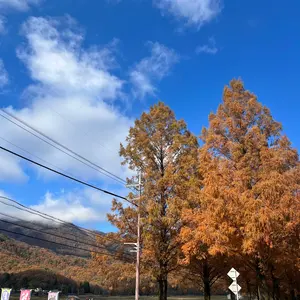 勝利の女神 NIKKE 京都 はんなり ミニ絵馬 コンプリート Box - メルカリ