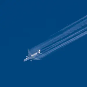64101636_5