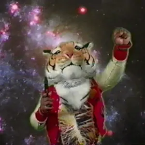 激レア Steinvord レコード Aphex Twin - メルカリ