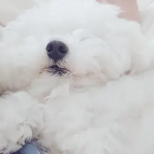 ♡即日発送可能♡