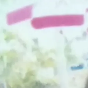 【お値下げ】FILA ❤️美品スコート&新品トップスセット サイズS お値下げ】FILA ❤️美品スコート&新品トップスセット サイズS - メルカリ