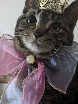 G☆プロフ必読お願いします☆ の出品した商品 - メルカリ