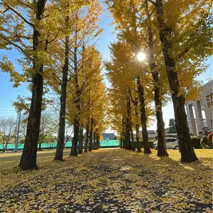 Become tree UVERworld TAKUYA∞ サスペンダー - メルカリ