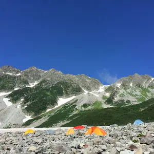 SCELL ロングボード 8ftウッド調 3フィン