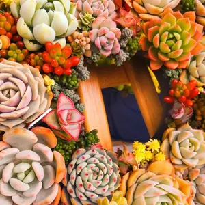 三*ぽ様 あみぐるみ☆きつねくん☆ぬいぐるみハンドメイド - メルカリ