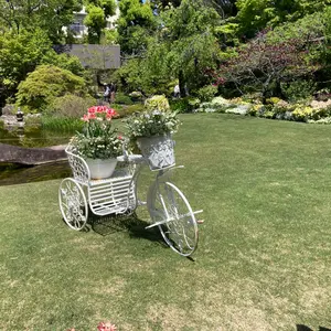 ☆ ACO様専用☆深い森のclassicalなリース☆ - メルカリ