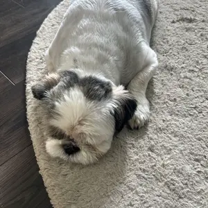 エアグルーヴ 武豊サイン入りトレーディングカード。 - メルカリ