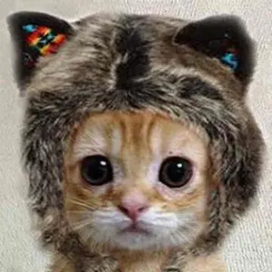 GRAPEVINE CD・DVD 19点セット 非売品プロモCD2枚含む - メルカリ