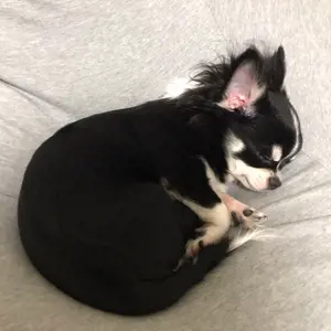 バーナム