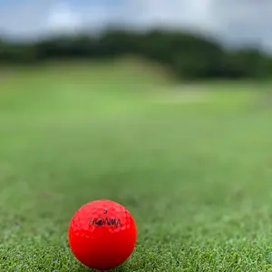 AZROF ユニオンジャック スタンドバッグ＋PRGRパター付きパター使用感