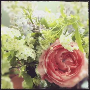 まとめ売り】ネイルエス マニキュア 14個セット - メルカリ