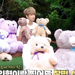 プリズムストーン ナイトドリームドレス ナイトドリームリボンシューズ