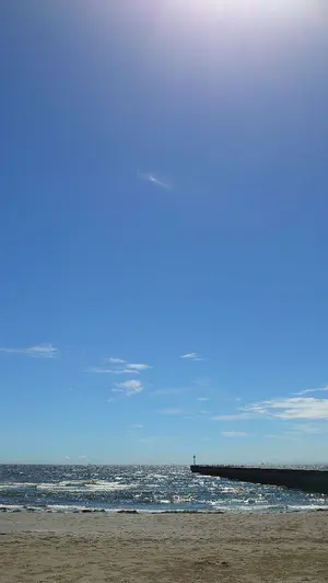 リザードン ☆ 拡張パック第5弾 神秘なる山 クリスタルタイプ　1st psa7 20250728030118-1.webp