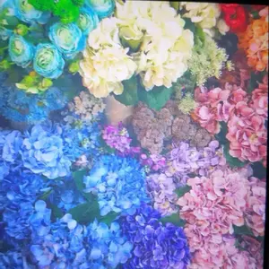 たんたん　即購入OK