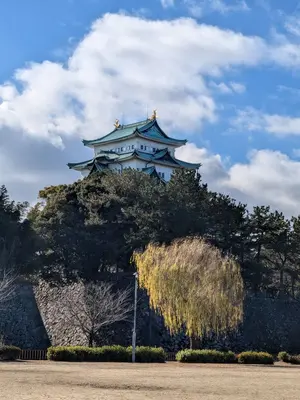 よしくに　翌日発送