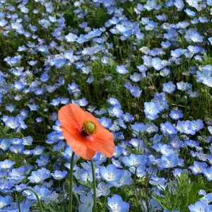 な*な様 【新品未使用】Ameri WAIST SHAPE FLARE JACK - メルカリ