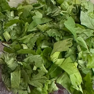 入手困難な初期型 カラーディスプレイ X 750w/250w City1.0も