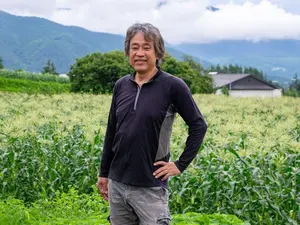 玉ねぎ 苗 ネオアース4000本! マテ茶様 玉ねぎ 苗 ネオアース4000本! マテ茶様 - メルカリ