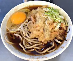 自動車と私 カール・ベンツ自伝」 独初版本と和訳本のセット - メルカリ