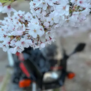 gpz400f用ファイターゼロ菅 - メルカリ