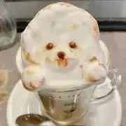 香港ディズニーランド ダッフィー シェリーメイ ぬいぐるみ フルーツ