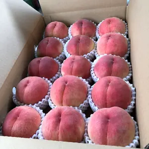摘果桃 加工用 あかつき 10キロ箱 大きい - メルカリ