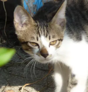 吉田正子トンボ玉（貳拾漆） 「瓶型」皮ひもネックレス ガラス玉に込め