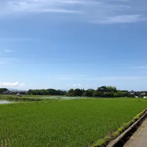 本庄雷太展 FGO 酒呑童子 カードスリーブ 65枚入り - メルカリ