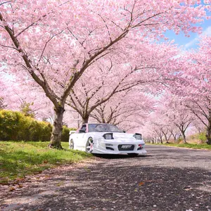 ホンダ シビックFK7 FK8純正加工クリアテールランプ - メルカリ