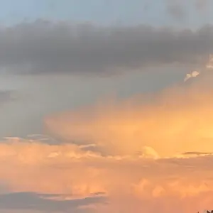 モビーディック