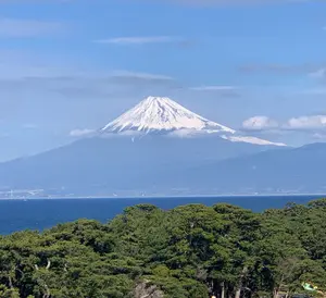 未開封 パールプラス ボディクリーム 全身 3本セット - メルカリ