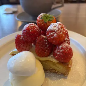 希少アラビア Oliivi オリーヴィ オリービ 16cmプレート② - メルカリ 希少アラビア Oliivi オリーヴィ オリービ 16cmプレート② - メルカリ