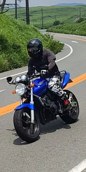 熊本市 ホンダ ホーネット250 MC31 ネイキッドバイク HORNET250 - メルカリ