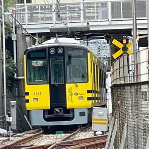 南海電車 つり革 - メルカリ