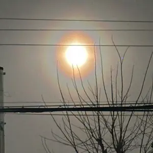 90s ficce ドン小西 袖牛レザー スタジャン アニマル 豪華刺繍