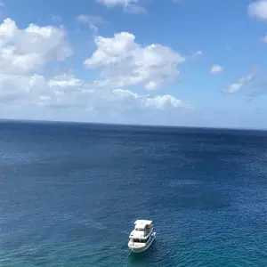 テニスケザイル