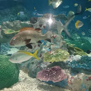 メロメロパンチ(※※プロフ必読※※)