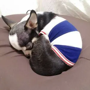 マカロニえんぴつ 日常と君と僕の歌 - メルカリ