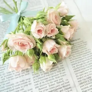 Herend ♦︎花柄皿 新品♦︎未使用 箱付きヴィクトリア・ゴールド お