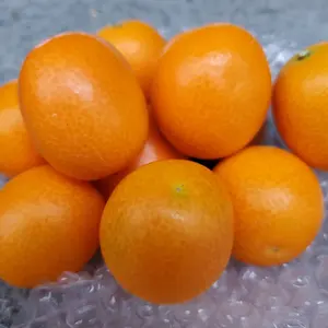 宮崎県産温室金柑 家庭用 L箱込み5キロ - メルカリ