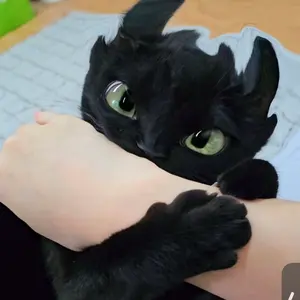 ハンターハンター　キルア　特大布　ポスター　タペストリー　希少　美品 HUNTER×HUNTER 特大布ポスター キルア | は行,HUNTER×HUNTER