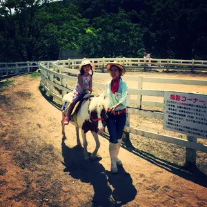 美品 CFCL POTTERY KID DRESS 100cm - メルカリ