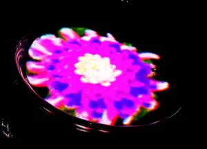 本田雄ラクガキ本 初版 - メルカリ