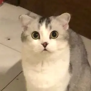 和源@プロフ必読お願いします。