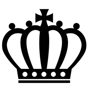 リユース♻️プリンセス