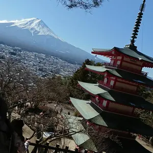 ポケモンカード イーブイヒーローズ 未開封88パック サーチ済品