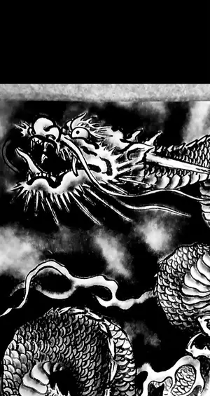 加藤龍山 日本画「福龍」と水墨画昇龍のポスターのセット - メルカリ