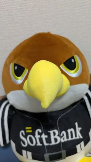 ダルビッシュ有選手 サイン色紙（値下げ） - メルカリ